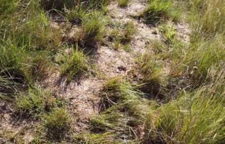 IMG-20210514-WA0018
