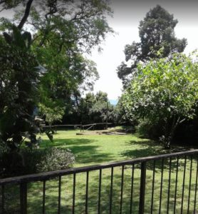 garden2